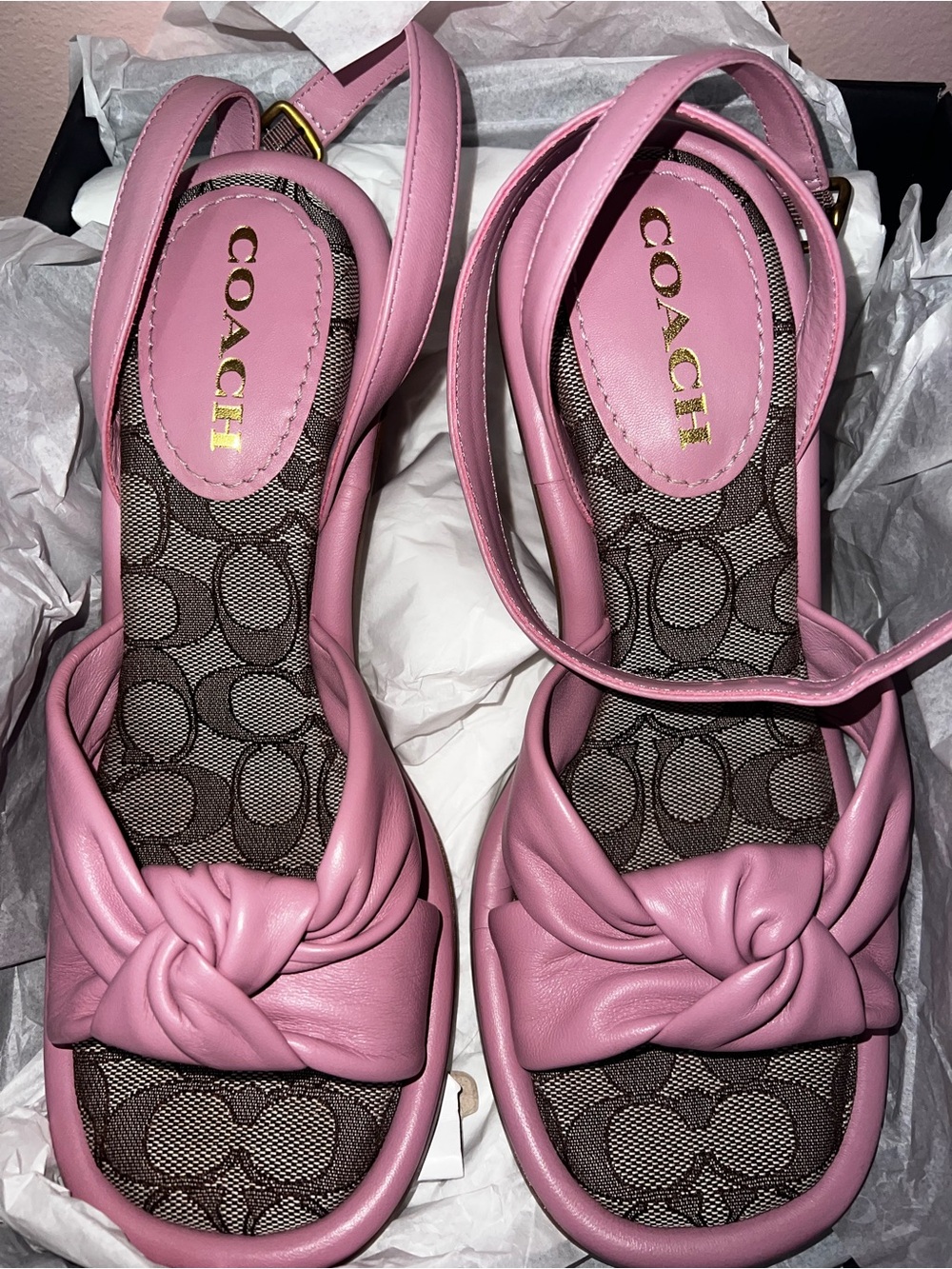 COACH Quincey Leather Sandals